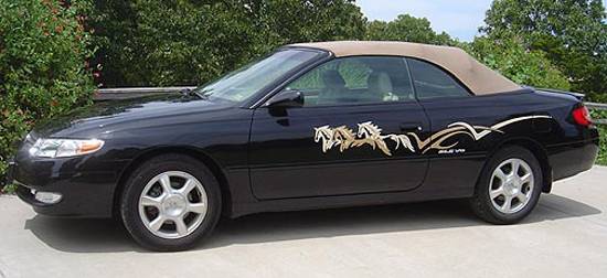 Horse decals for your car