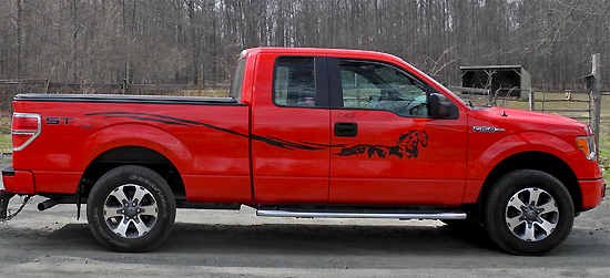 Truck with horse graphics